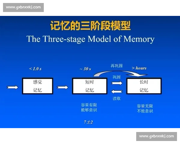 提升学习效率与记忆巩固的实用训练方法全解析